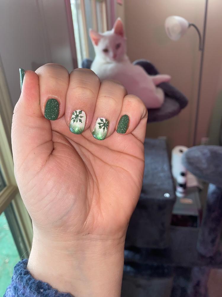 Modest Moss - Customer Photo From Emily
