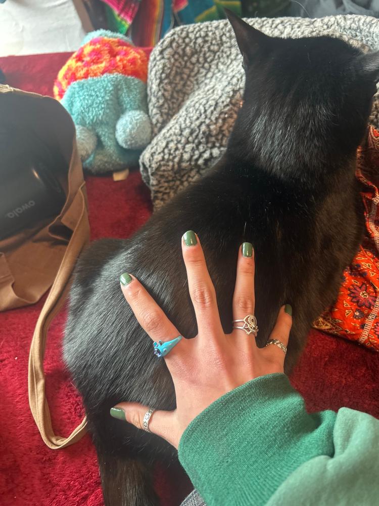 Modest Moss - Customer Photo From Emily