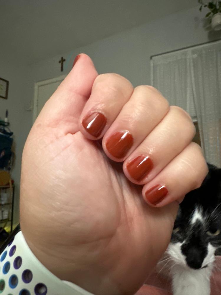 Brick Wall - Customer Photo From Natalie G.