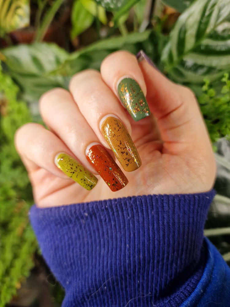 Down To Earth Bundle - Customer Photo From Rachel W.