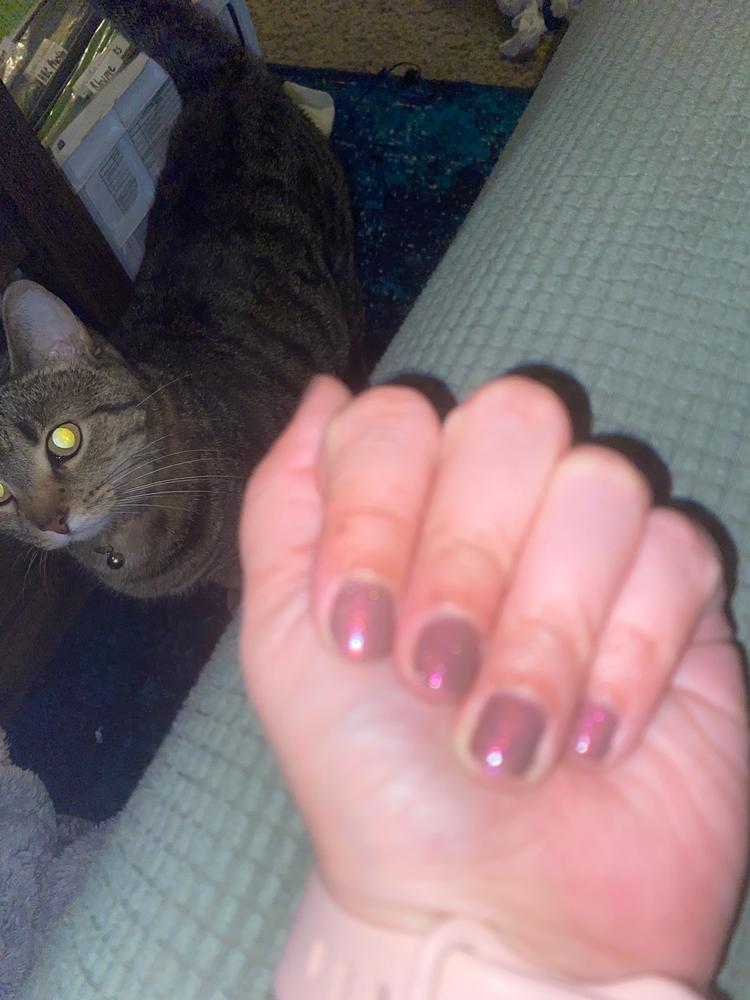 Solo Mission - Customer Photo From Catherine